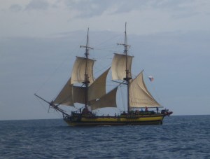 Brigantine under full sail off Elba.