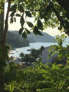 Exotica on mooring, Spinaska Luke