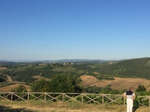View from St Appiano
